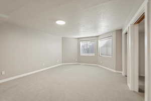 Basement bedroom with walk-in closet