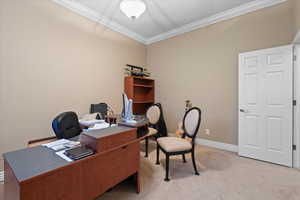 Office space featuring baseboards, ornamental molding, and light colored carpet
