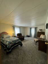 Bedroom with carpet and a textured ceiling