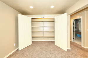 Large Game Closet