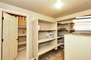 Basement Bedroom 5 with Huge Walk-In Closets (2) and Cold Storage
