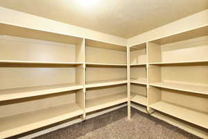 Basement Bedroom 5 with Huge Walk-In Closets (2) and Cold Storage