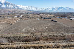 Birds eye view of property with a mountain view