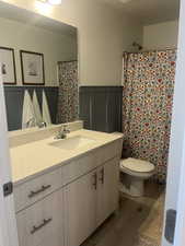 Full bathroom with a wainscoted wall, a decorative wall, toilet, vanity, and wood finished floors