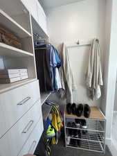 View of walk in closet