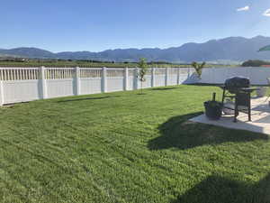 View of yard featuring a patio area, a fenced backyard, and a mountain view