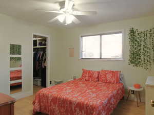 Bedroom with a closet, a spacious closet, a ceiling fan, and wood finished floors