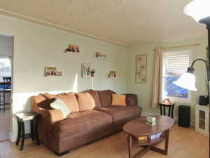 Living room with light wood-type flooring and a textured ceiling