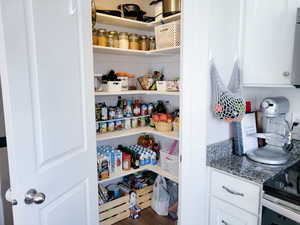 Large Pantry with wood shelving