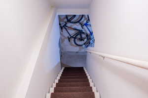 View of staircase going down to basement