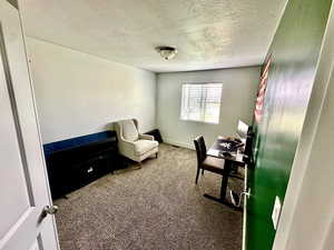 Home office with a textured ceiling, carpet flooring, and baseboards