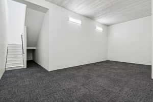 Empty room with dark colored carpet