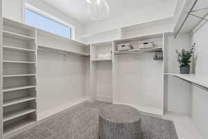 Spacious closet featuring carpet floors