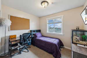 Bedroom with carpet floors and baseboards