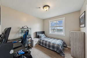 Bedroom with a textured ceiling, carpet, and visible vents