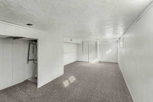 Basement featuring carpet and a textured ceiling