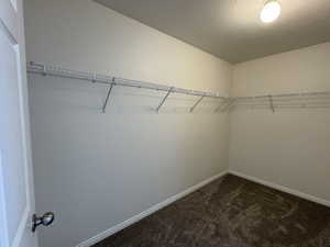 Walk in closet featuring carpet flooring