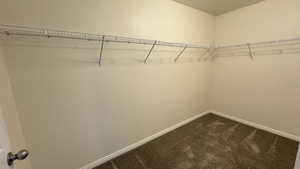 Spacious closet with dark carpet