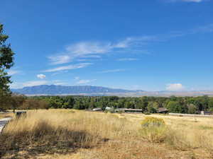 View of mountain background