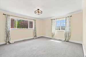 Unfurnished room with ornamental molding, carpet, and baseboards