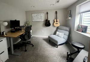 Office space featuring carpet floors, baseboards, visible vents, and a textured ceiling