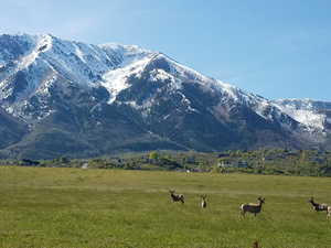 Property view of mountains featuring a rural view