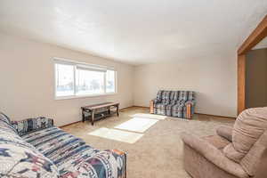 Living room with light carpet, baseboards, and a textured ceiling