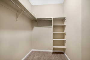 Walk in closet featuring carpet floors