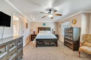 Bedroom with light carpet, crown molding, a textured ceiling, and baseboards