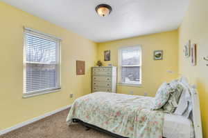 Carpeted bedroom with baseboards