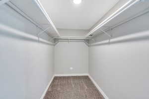 Walk in closet with carpet