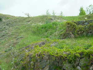 View of nature with a rural view