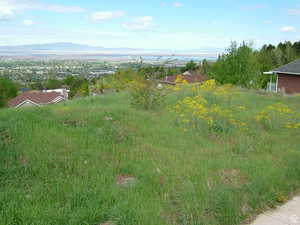 Exterior space with a mountain view