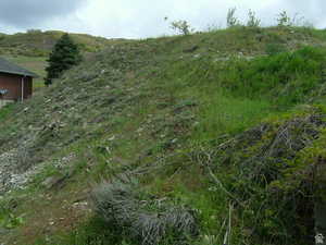 View of local wilderness with a rural view