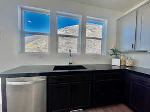 Kitchen featuring stainless steel dishwasher, dark countertops, a sink, and dark wood finished floors