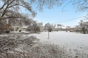 View of snowy yard