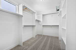 Walk in closet featuring carpet flooring