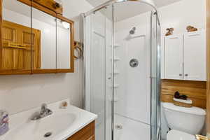 Full bathroom with toilet, a stall shower, and vanity