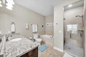 Bathroom featuring toilet, a garden tub, tile patterned flooring, vanity, and a shower stall