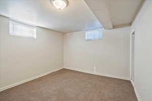 Basement featuring carpet, a wealth of natural light, and baseboards