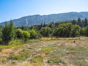 Property view of mountains with a rural view