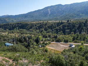 View of mountain feature featuring a forest view