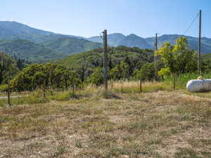 Mountain view featuring a rural view