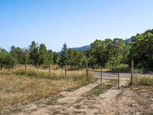 View of road featuring dirt driveway, a gated entry, a mountain view, and a rural view