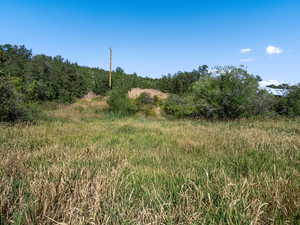 View of landscape featuring a rural view