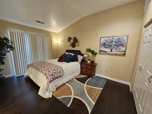 Bedroom with lofted ceiling, dark wood-style floors, baseboards, and visible vents