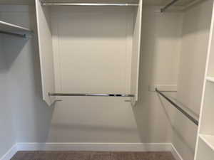 Walk in closet featuring carpet floors