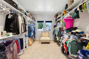 Spacious closet featuring light carpet
