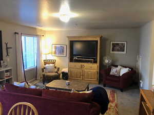 Living area featuring light colored carpet