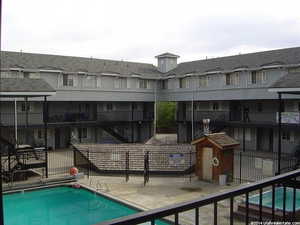 Pool with fence